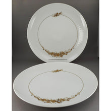 Load image into Gallery viewer, 2 Excellent Vintage Rosenthal China Romance Medley Dinner Plates