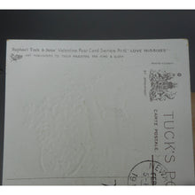 Load image into Gallery viewer, Lot of 5 Antique Vintage Original Embossed Post Cards - Valentine Greetings - circa 1910 - Used and Unused - One Tuck
