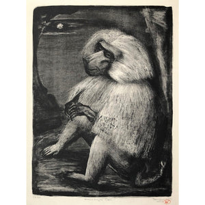 Benton Spruance Original Print - Hamadryas Ape, 1951 - Lithograph, Signed, Limited Edition of 30 - Baboon