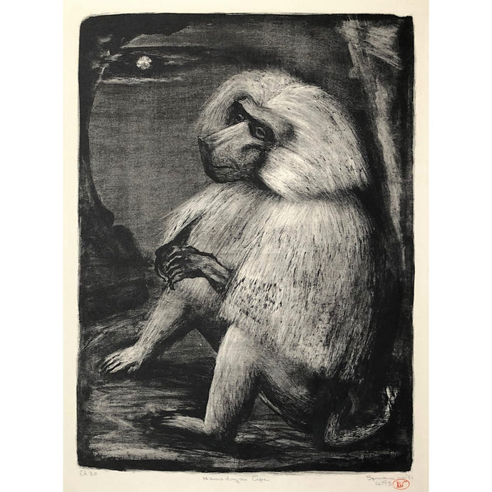 Benton Spruance Original Print - Hamadryas Ape, 1951 - Lithograph, Signed, Limited Edition of 30 - Baboon