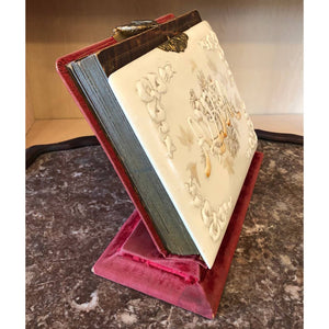 Antique Victorian Celluloid Photo Album with Velvet Stand for CDV Cabinet Cards